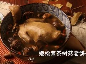 姬松茸茶树菇炖老鸽汤的做法_肉质紧实炖汤鲜美