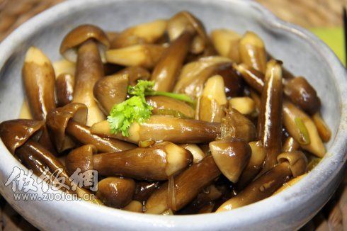 蚝油鸡枞菇家常做法_蚝油鸡枞菇怎么做好吃【图】