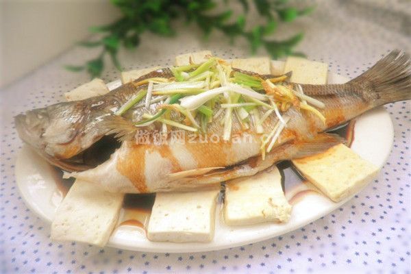 正宗鲁菜清蒸豆腐鲤鱼的做法_绝对是鲜美十足呀