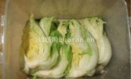 朝鲜辣白菜步骤图3