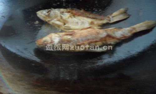 清炖白菜鲫鱼汤步骤图2