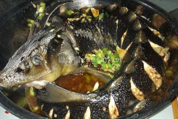 清蒸鲟鱼的家常做法_肉质细腻营养丰富