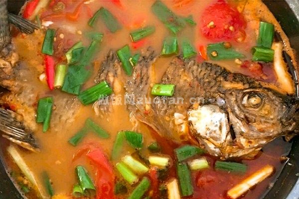 西红柿炖鱼的简单做法讲解_营养开胃让人欲罢不能