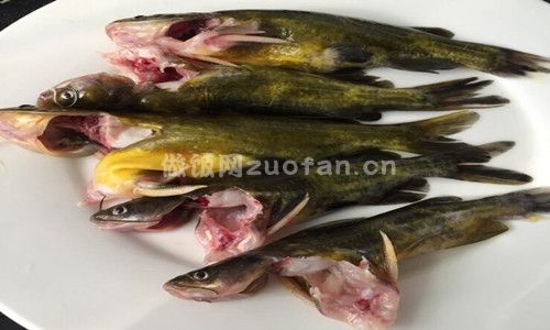 黄刺骨鱼汤步骤图1