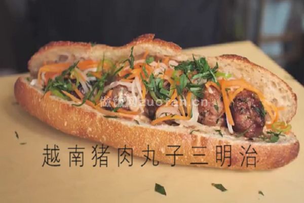 越南猪肉丸子三明治的做法_异域风情香溢舌尖