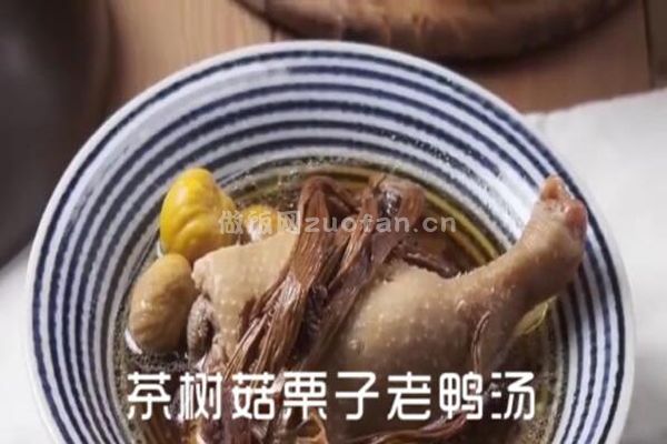 粤菜茶树菇栗子老鸭的做法_好吃到不停地流口水