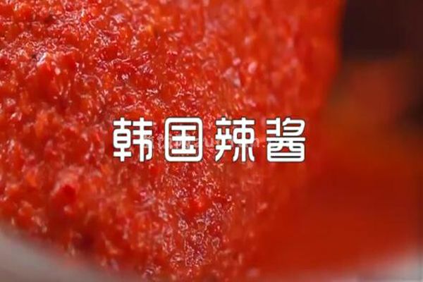简单正宗韩国辣椒酱的做法_百种吃法更多美味